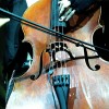 apocalyptica_p2007_024