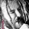 in_flames_p2006_043