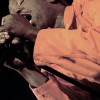 living_colour_p2008_056