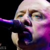 mark_knopfler_p2010_19