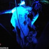 ministry_p2008_11
