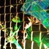 ministry_p2008_21
