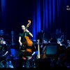 sting_p2011_19