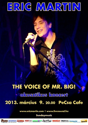 ericmartin2013