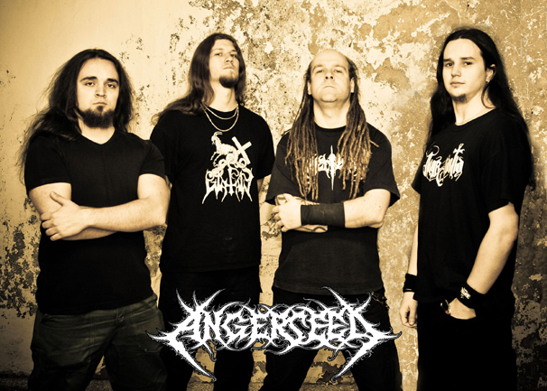 0128angerseed03