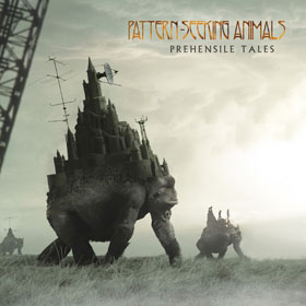 patternseekinganimals_c