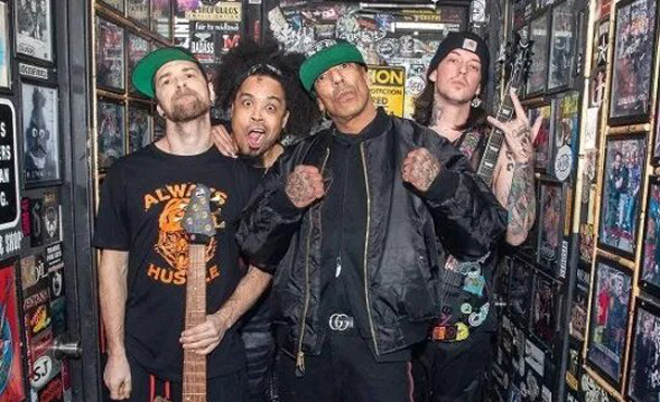 0815hedpe
