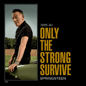 brucespringsteen_c