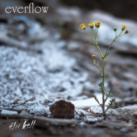 everflow_c