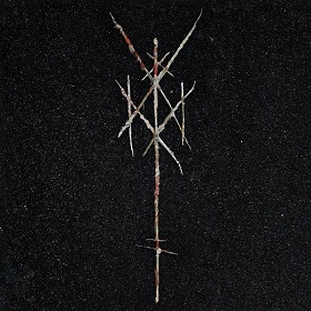 wiegedood_c