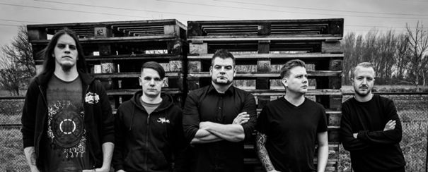 1114devoid