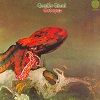 octopus_c