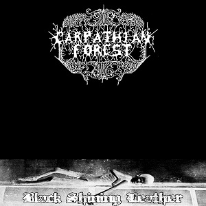 carpathianforest_1