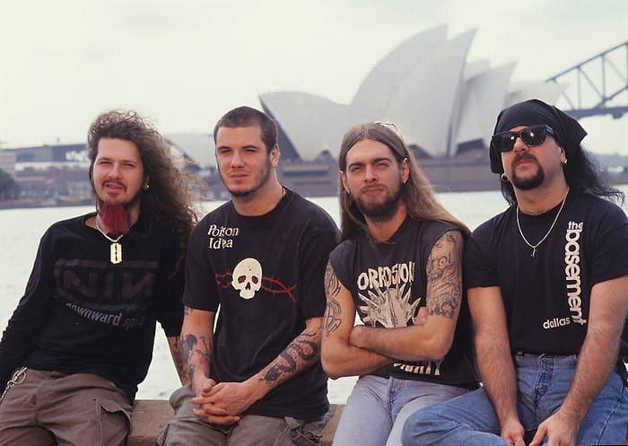 pantera_dg