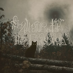 theanwerliesintheblackvoid_c