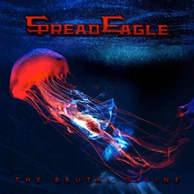 spreadeagle_c