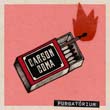 carsoncoma_110